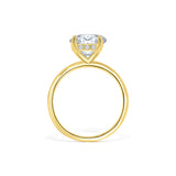 Oval Hidden Halo Engagement Ring